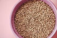 Lentils are protein-rich food (Image via Unsplash/César Hernández)
